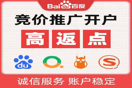 百度平台推广策略及成功案例解析